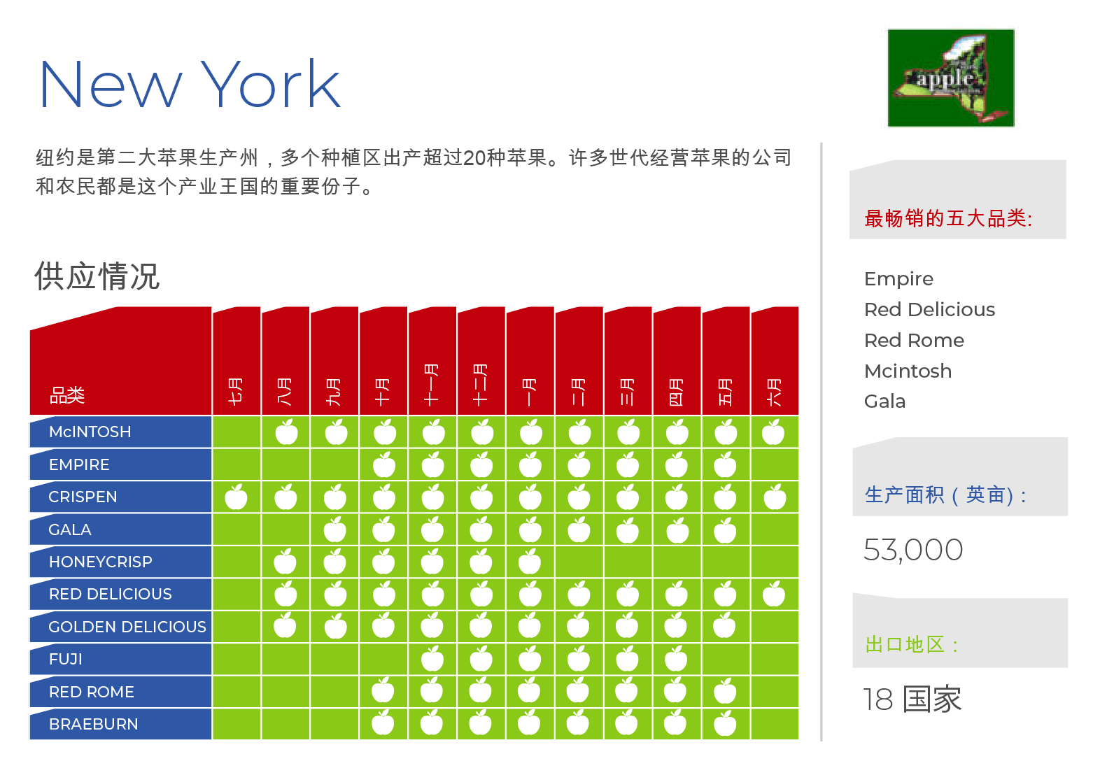 new york-chart (ZN)